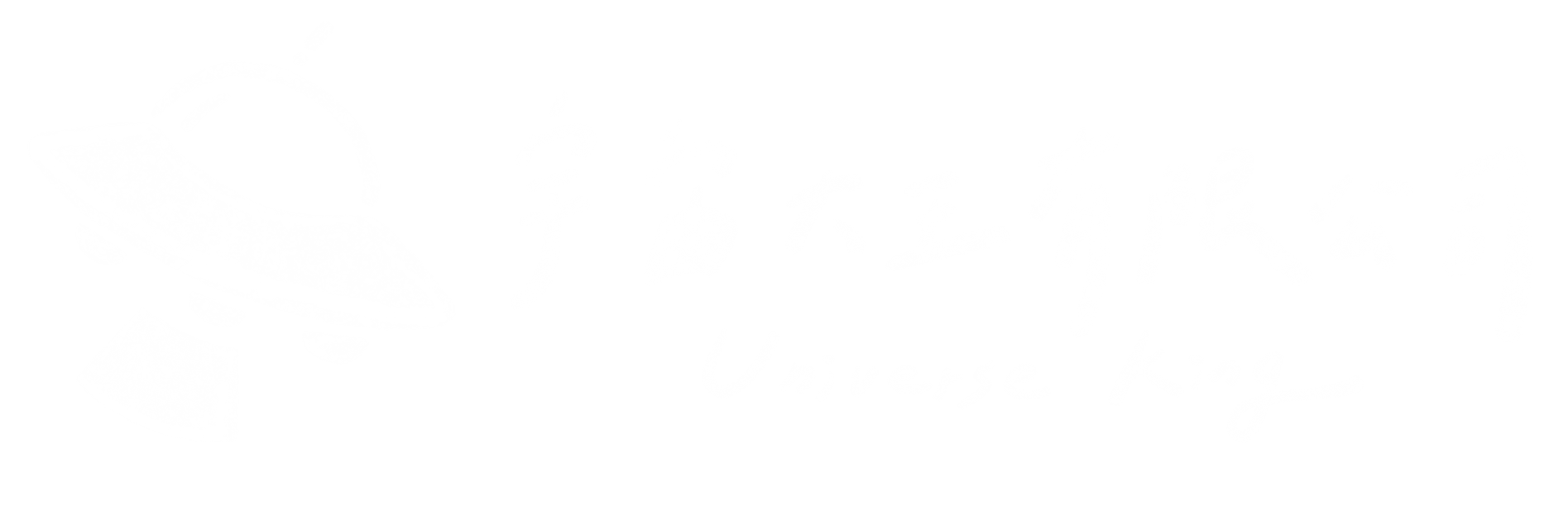 宇宙大王有限公司